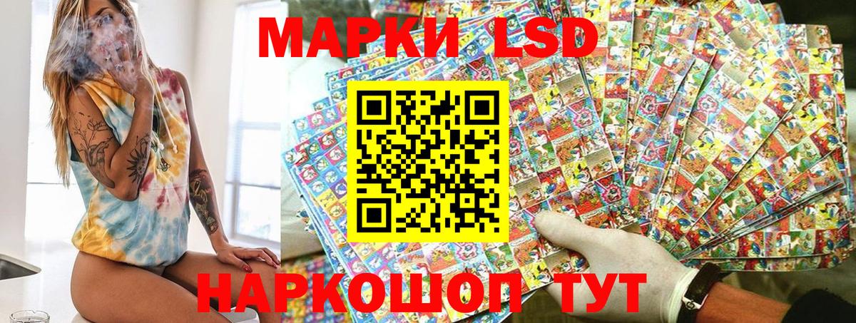 купить наркоту  Наркотические марки 1,8мг  Вход с VPN  Наркотические марки 1,8мг  Пыть-Ях 